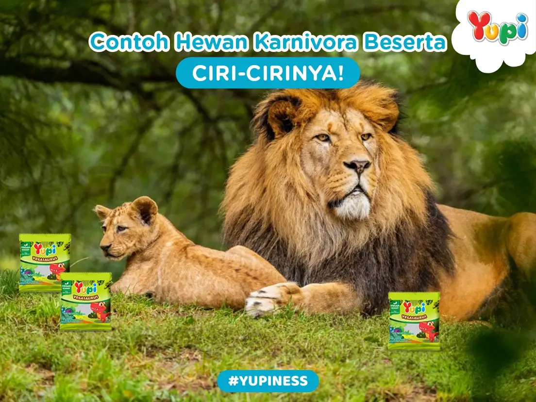 20 Contoh Hewan Karnivora Beserta Ciri-Cirinya! - Yupi